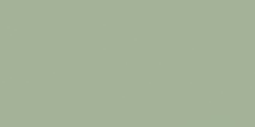 Płytka ścienna 29,8x59,8 cm Paradyż Feelings Green Ściana Rekt