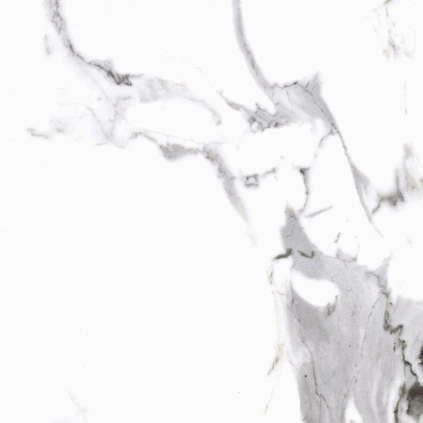 Płytka ścienno-podłogowa 60x60 cm Cerrad Calacatta white Poler