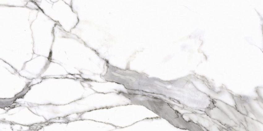 Płytka ścienno-podłogowa 60x120 cm Cerrad Calacatta white Satyna