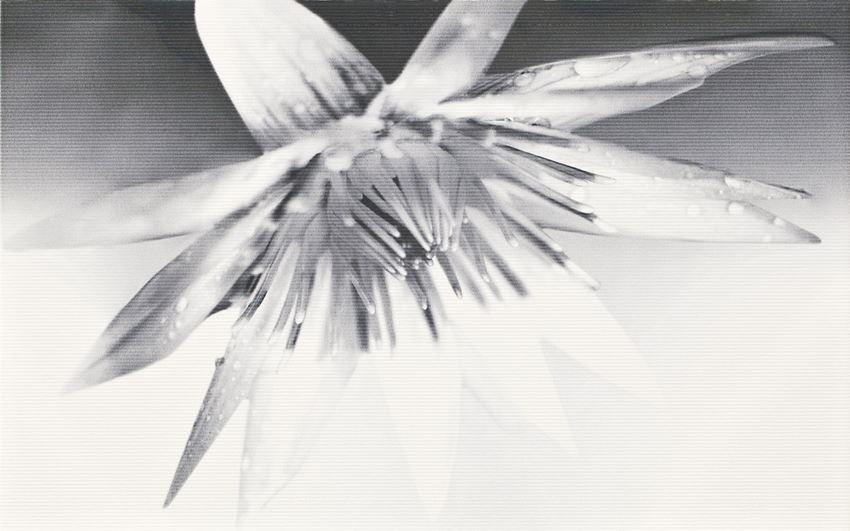 Płytka dekoracyjna 25x40 cm Cersanit Negra white inserto flower