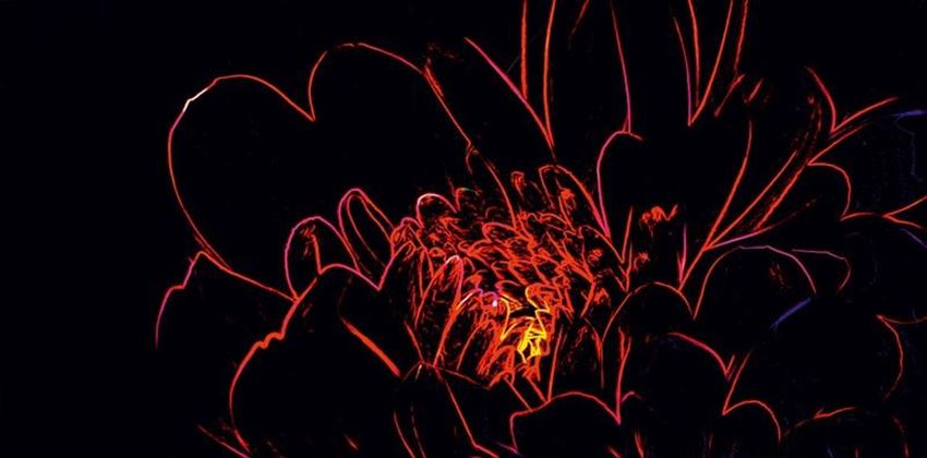 Płytka dekoracyjna 29,7x60 cm Opoczno Fluorescent Flower red inserto