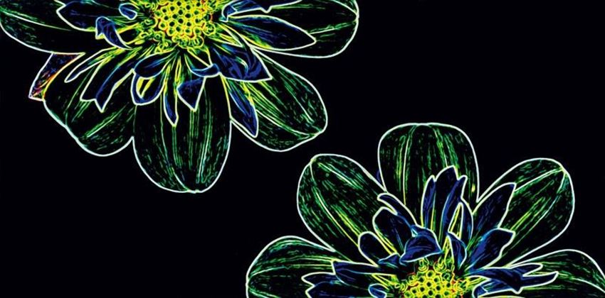 Płytka dekoracyjna 29,7x60 Opoczno Fluorescent Flower green inserto