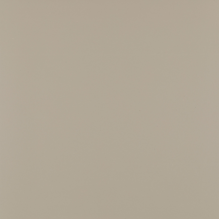 Płytka ścienno-podłogowa 59,8x59,8 cm Paradyż Modernizm Grys Gres Rekt. Mat
