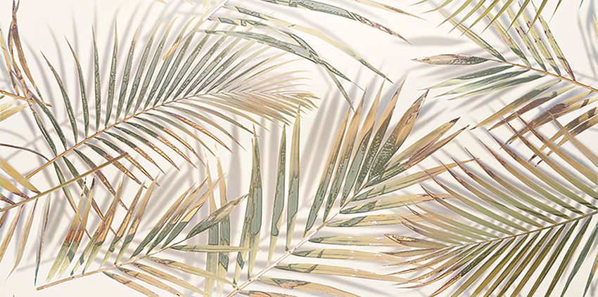 Płytka dekoracyjna mat 59,8x119,8 cm Domino Misteria Palm
