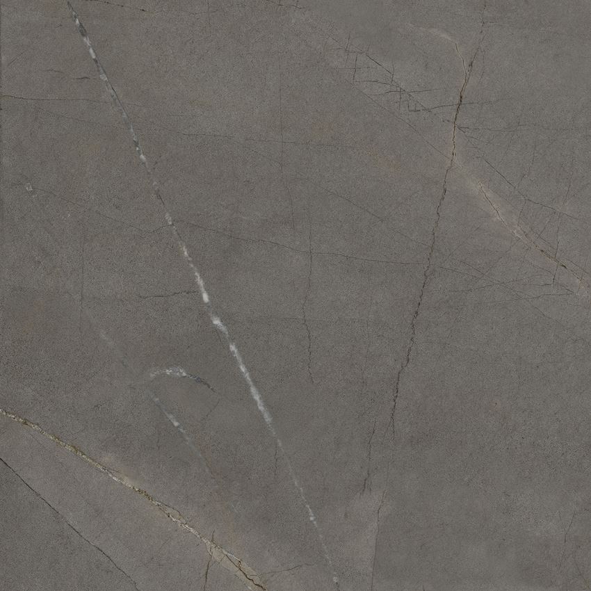 Płytka uniwersalna struktura 59,7x59,7 cm Ceramika Gres Westmount Dark Grey