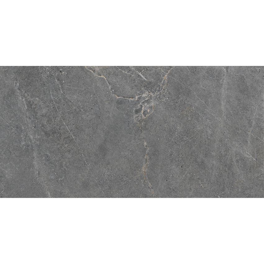 Płytka uniwersalna 59,7x119,7 cm Cerrad Distinct Grey Silky Cristal