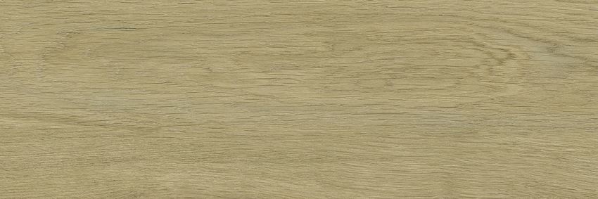 Płytka ścienno-podłogowa 20x60 cm Paradyż Decorwood Gold Gres Szkl. Struktura Mat