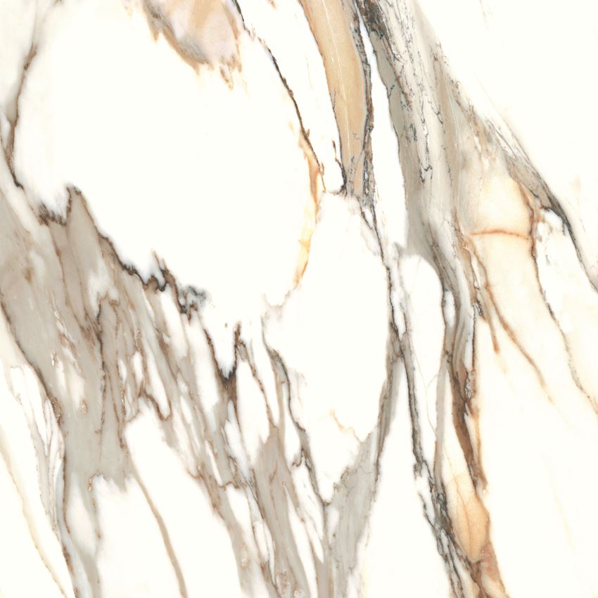 Płytka ścienno-podłogowa Cerrad Calacatta gold 120x120