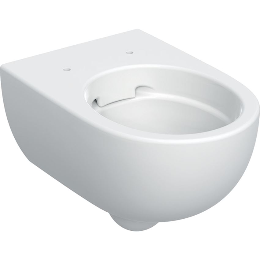 Miska WC wisząca Rimfree ukryte mocowania bez deski biała Geberit Selnova Premium