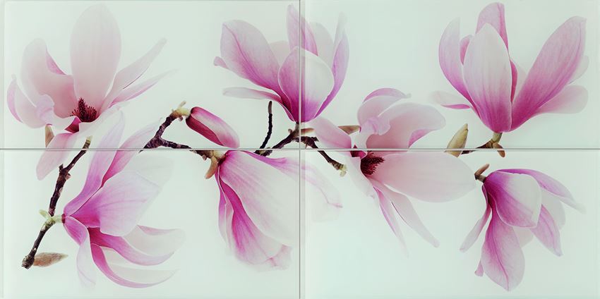 Dekor ścienny 4-elementowy 4*44,8x22,3 cm Domino Tango flower