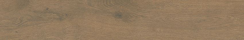 Płytka ścienno-podłogowa 19,8x119,8 cm Opoczno Ginger Forest Brown