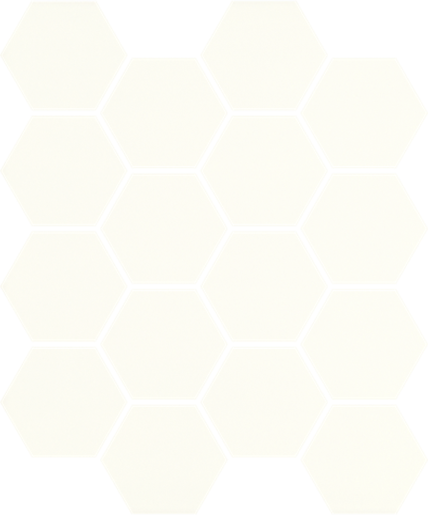 Paradyż Hexagon Uniwersalna Mozaika Prasowana Bianco