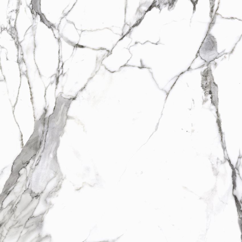 Płytka ścienno-podłogowa 120x120 cm Cerrad Calacatta white Poler